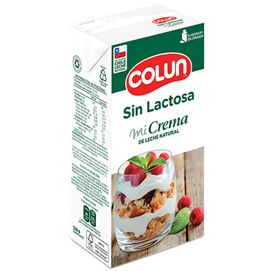 CREMA SIN LACTOSA 1 lt.