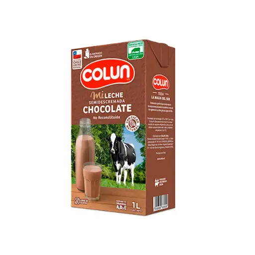 LECHE CHOCOLATE 1 lt.
